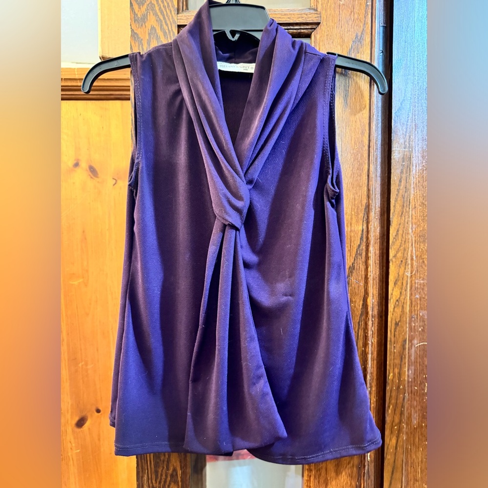 Tiffany & Grey stretch purple top, PS